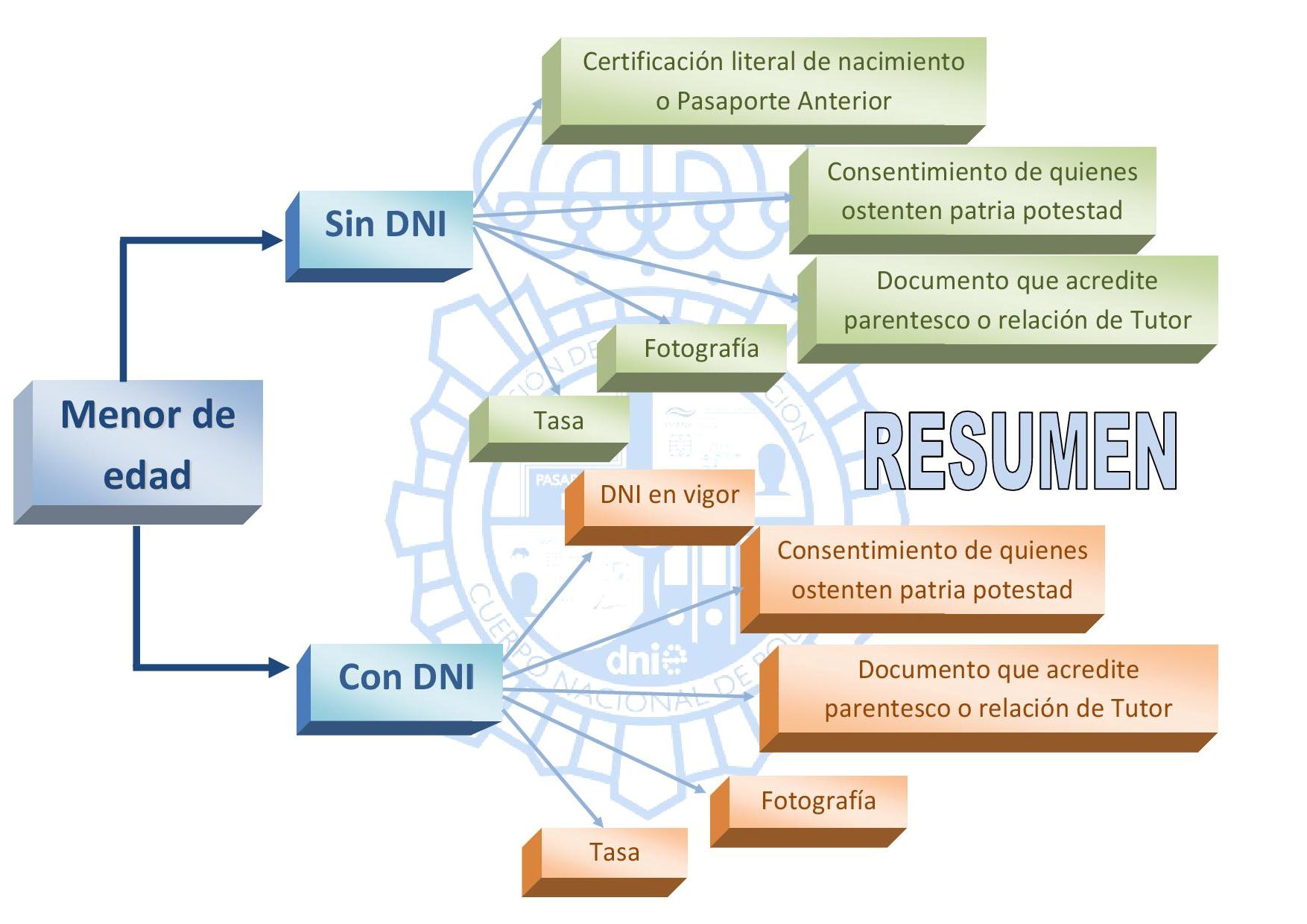 Requisitos para la obtención